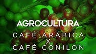 #AGROCULTURA: Arábica x Conilon – Conheça a diferença entre as duas variedades