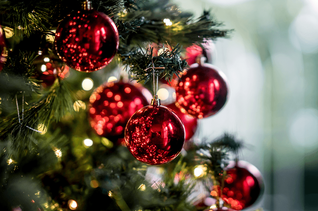 O Natal está chegando! Confira a programação do Pomerisch Wijnachte