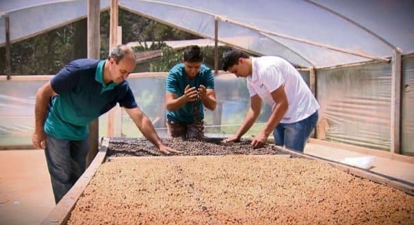 Cursos formam mão de obra qualificada para atuar no campo